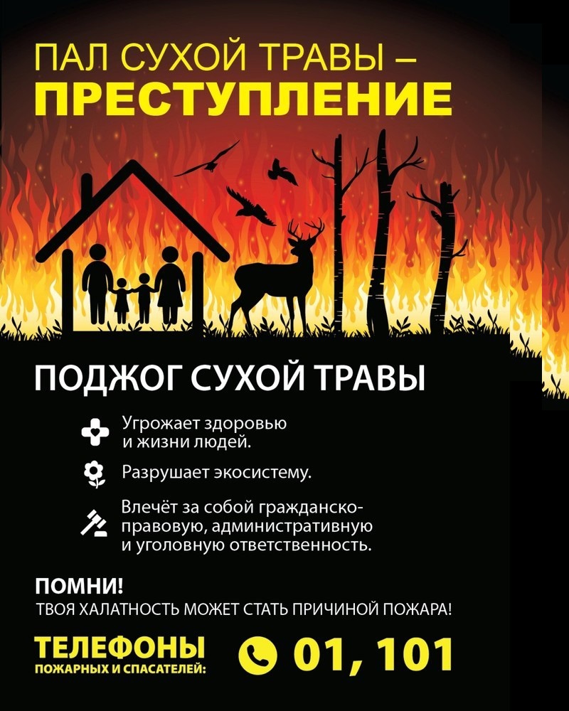 49c91d02-52d1-4c85-836f-d41913568803